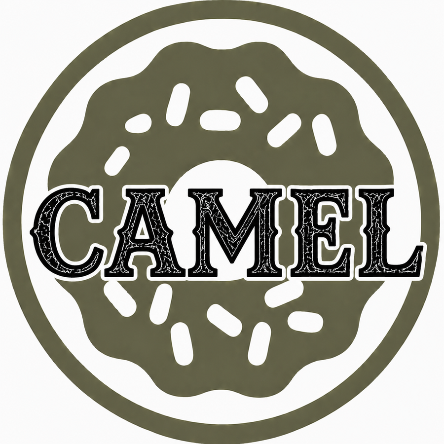 Camel Filter sigaretter 20pk (10x20pk)